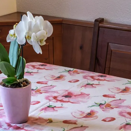 I Pettirossi Apartment